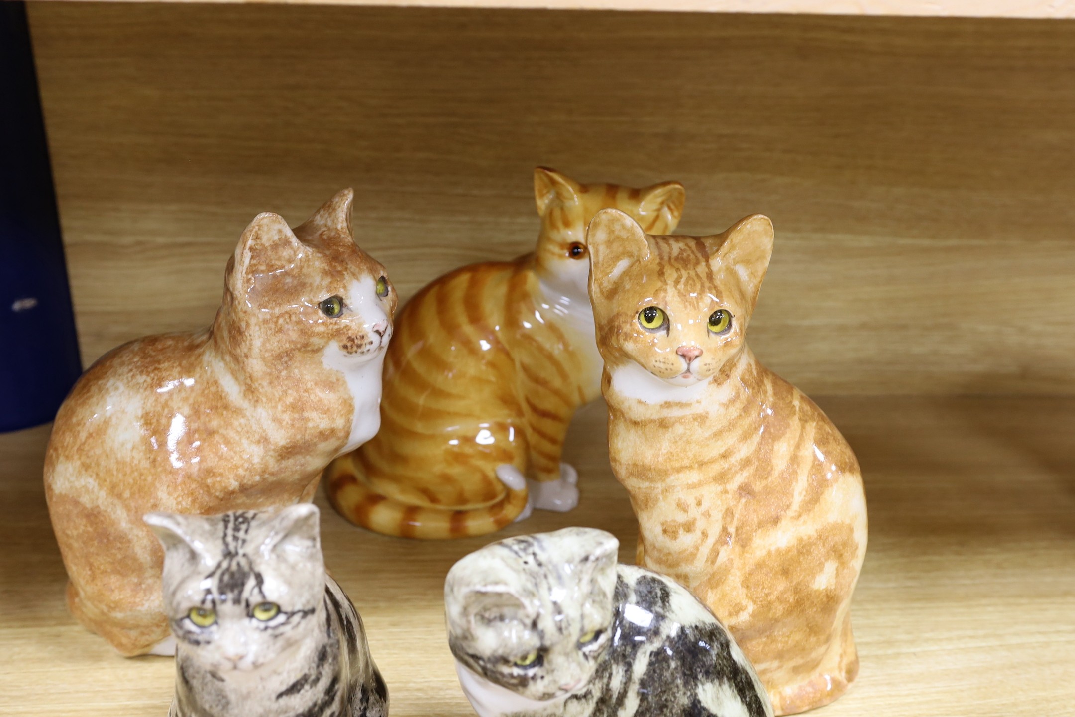 Three large Winstanley pottery models of cats, size 5 and 6, two similar size 4 cats and a Just Cats & Co. Staffordshire cat, 31cm